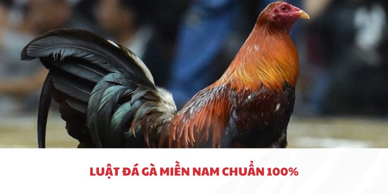 Các quy định mới nhất