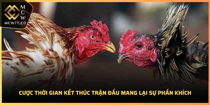 Cược thời gian kết thúc trận đấu mang lại sự phấn khích