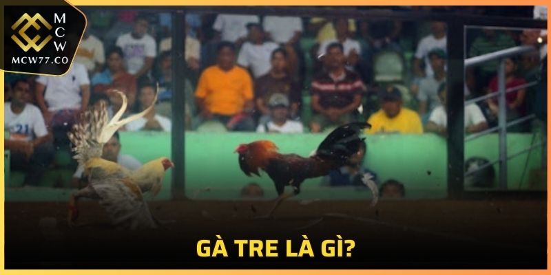 Gà Tre là gì?