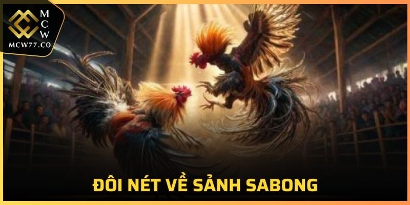 Giới thiệu tổng quan về sảnh