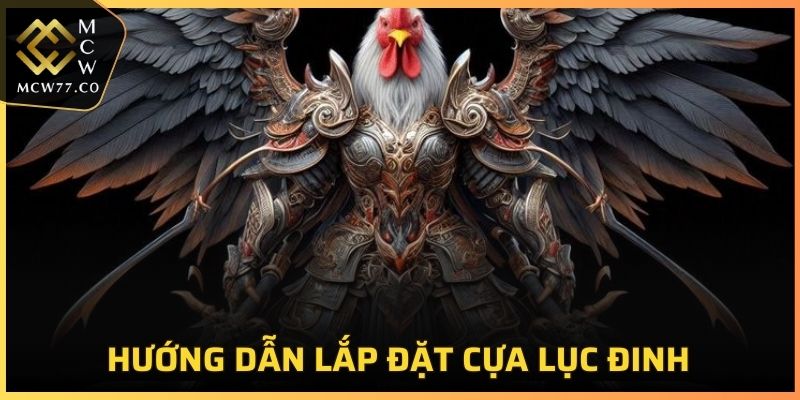 Hướng dẫn lắp đặt cựa lục đinh