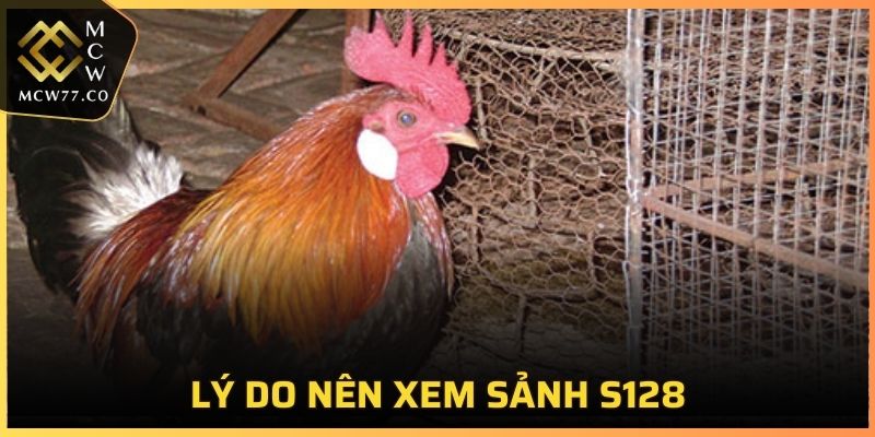 Lý do nên theo dõi trực tiếp tại sảnh S128 là gì