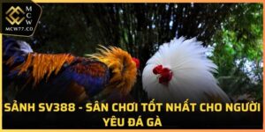 Sảnh SV388