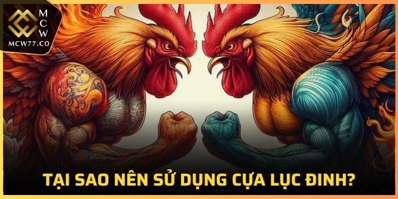 Tại sao nên sử dụng cựa lục đinh?