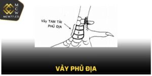 Vảy Phủ Địa